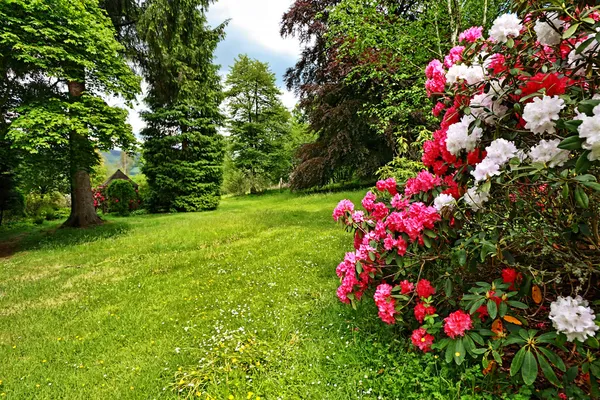Bellissimo giardino all'inglese in primavera — Foto Stock