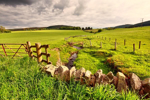 Άνοιξη αγροτικό τοπίο με πέτρινο τοίχο, Σκωτία — Φωτογραφία Αρχείου