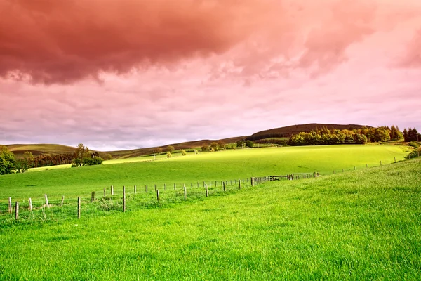 Bela paisagem rural escocesa — Fotografia de Stock