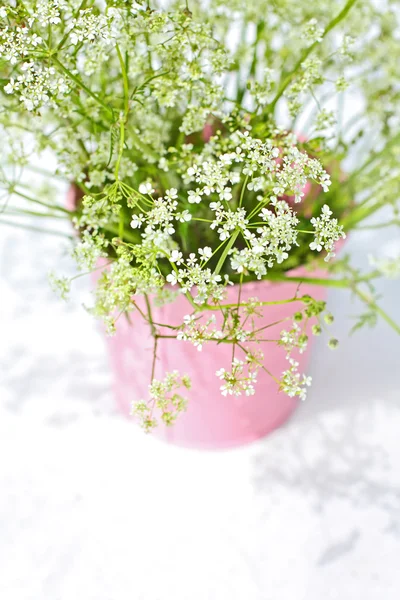 Witte wilde bloemen in een roze bloempot — Stockfoto