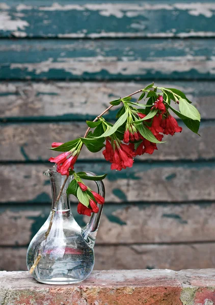 Um ramo de flores de primavera em um vaso de vidro — Fotografia de Stock