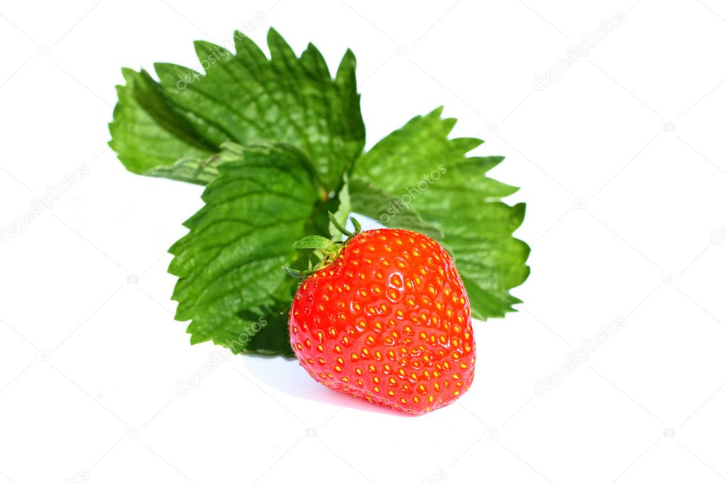 Red strawberry on white