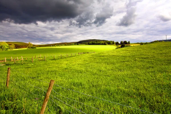 Schottische Landschaft mit Feldern. — Stockfoto