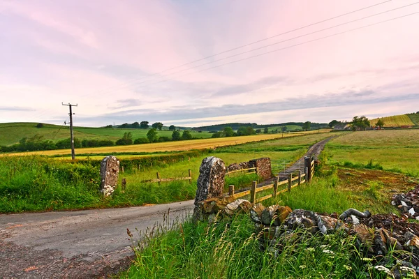Szkocki krajobraz z pola. — Zdjęcie stockowe