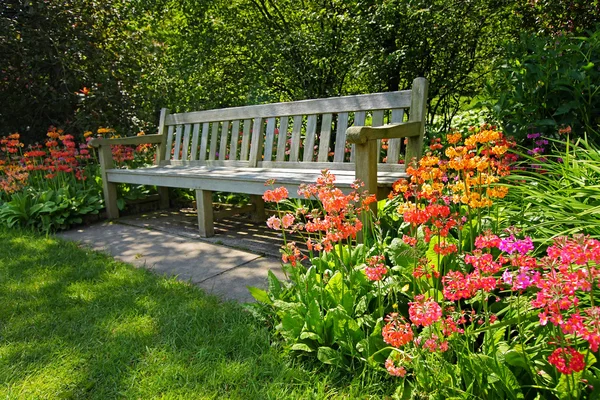 Banco de madeira e flores floridas brilhantes — Fotografia de Stock
