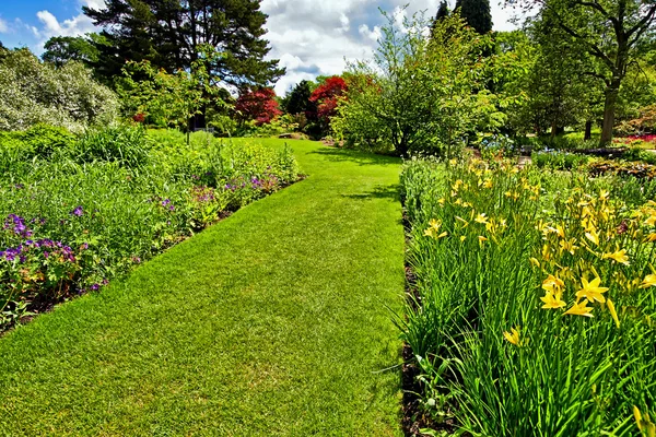 Garden landscaping, Springtime — Stock Photo, Image