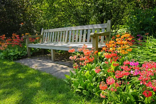 Holzbank und hell blühende Blumen — Stockfoto