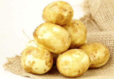 doğal zemin üzerine yeni taze patates