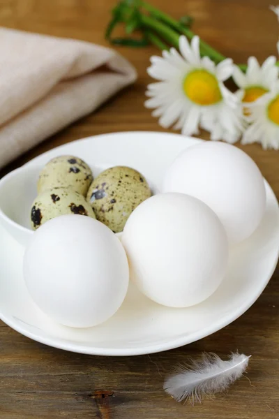 Kuře a křepelčí vejce, rustikální styl — Stock fotografie