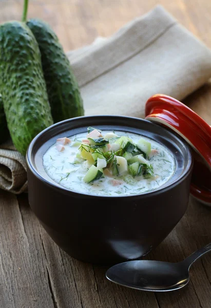 冷蔬菜汤，俄罗斯的传统美食 — 图库照片