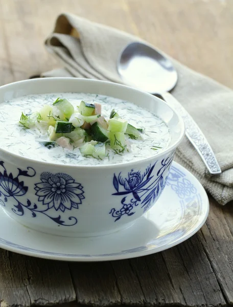 Холодный овощной суп, традиционная русская кухня — стоковое фото