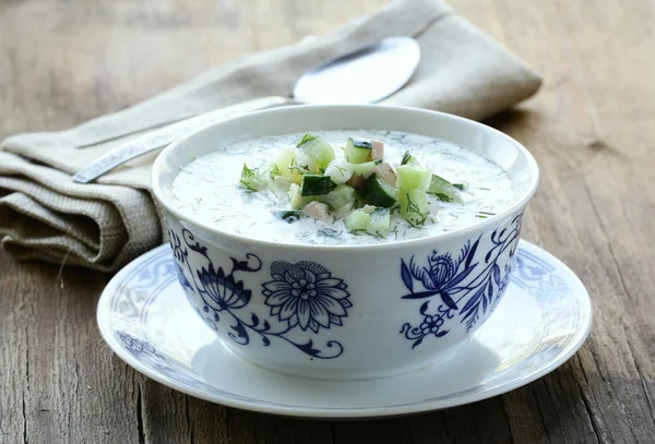 Холодный овощной суп, традиционная русская кухня — стоковое фото