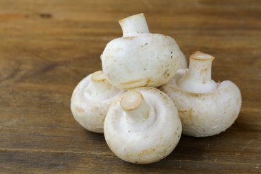 mantar champignon ahşap tablo