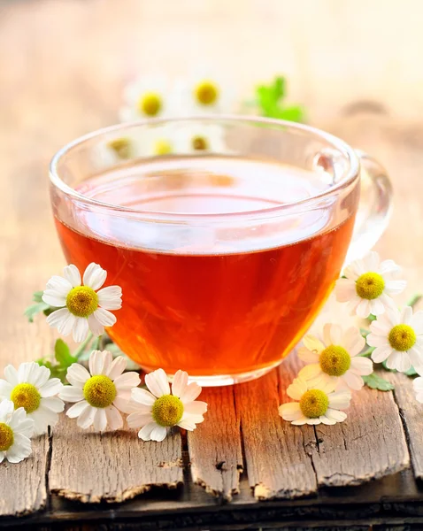 Kuppi teetä ja kamomilla kukkia puinen pöytä — kuvapankkivalokuva