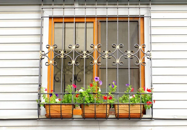 stock image Window on the wall, decorated with flowers and the lattice