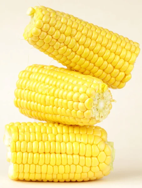 Friss kukorica növényi fehér háttér — Stock Fotó