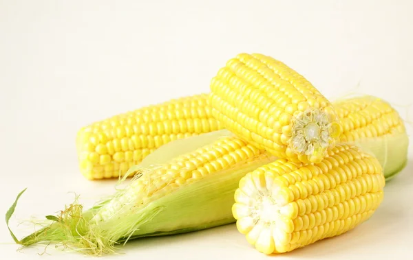 Legume de milho fresco no fundo branco — Fotografia de Stock