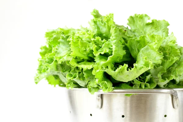 Fém szűrőedény, fehér alapon zöld saláta — Stock Fotó