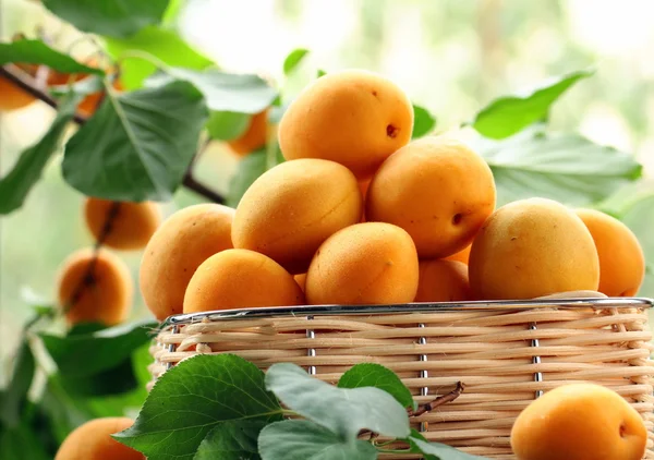 stock image Red ripe nectarine peaches on wooden table