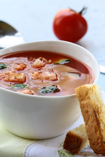 Gazpacho cold tomato soup with bread crisps — Stock Photo, Image