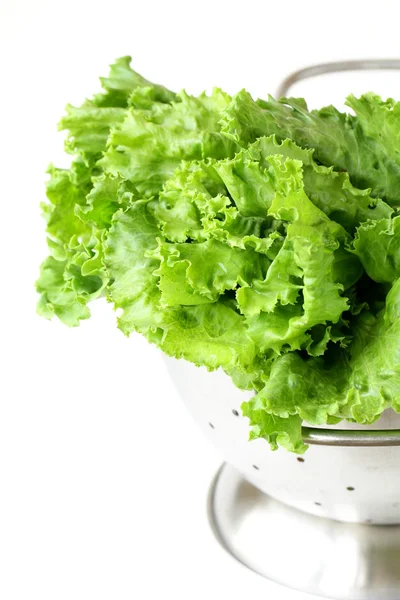 Green lettuce in metal colander on a white background — Stock Photo, Image