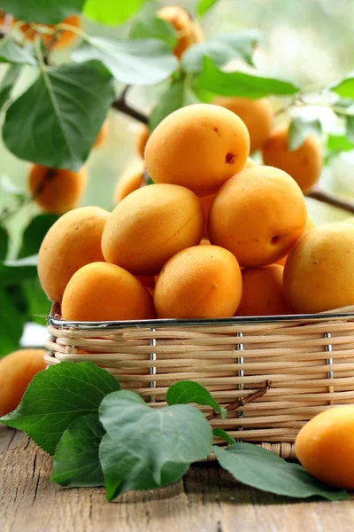 stock image Ripe juicy fruit apricot with leaves on a wooden table