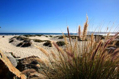 San Diego Beach clipart