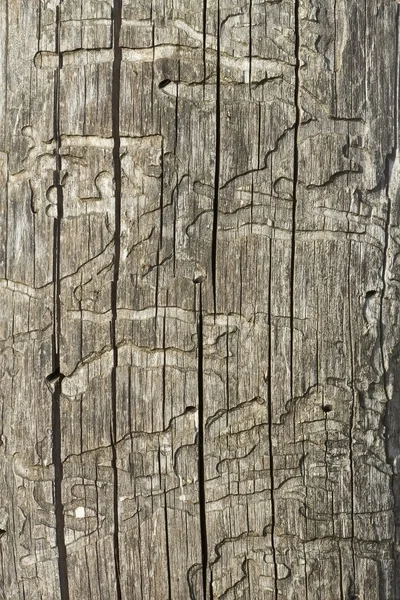 Antigua superficie dañada de madera — Foto de Stock