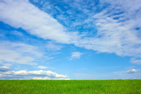 Hermoso paisaje nublado sobre el campo de trigo —  Fotos de Stock