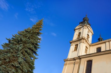 lviv, Ukrayna Bina organ Hall detay