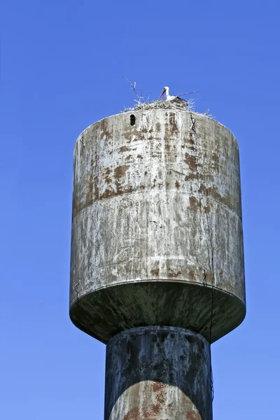 水タワーのコウノトリの巣 — ストック写真