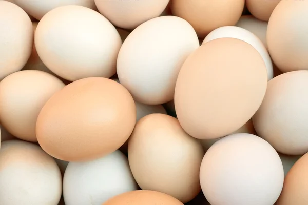 Stock image Pile of chicken eggs