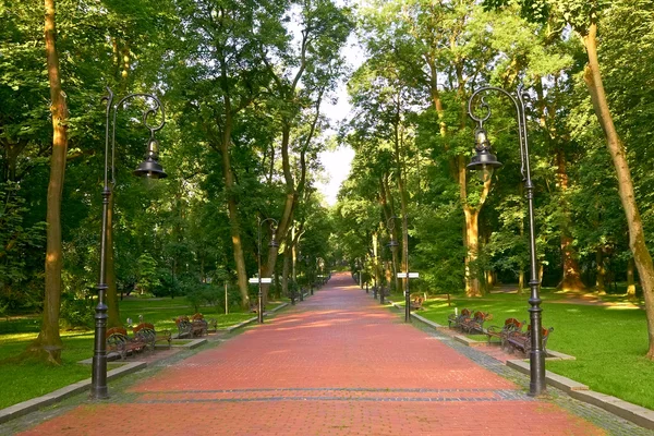 stock image Paved park alley in the morning