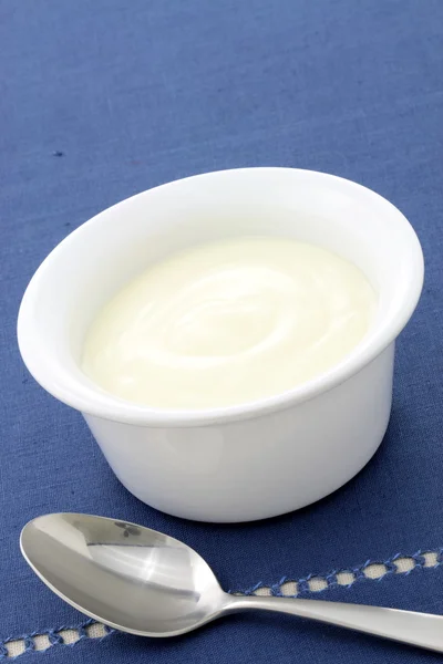 Lezzetli taze yoğurt — Stok fotoğraf