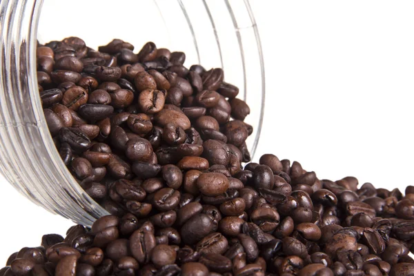 Coffee beans on a white background — Stock Photo, Image