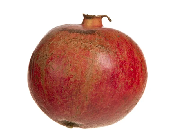 Rode granaatappel voor een witte achtergrond — Stockfoto