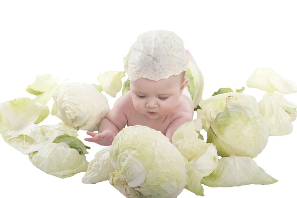 stock image The baby in the cabbage on a white background