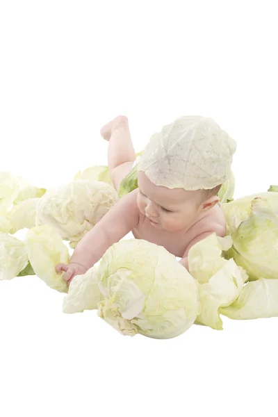 stock image The baby in the cabbage on a white background
