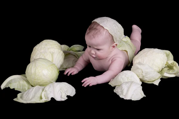 stock image The baby in the cabbage on a black background