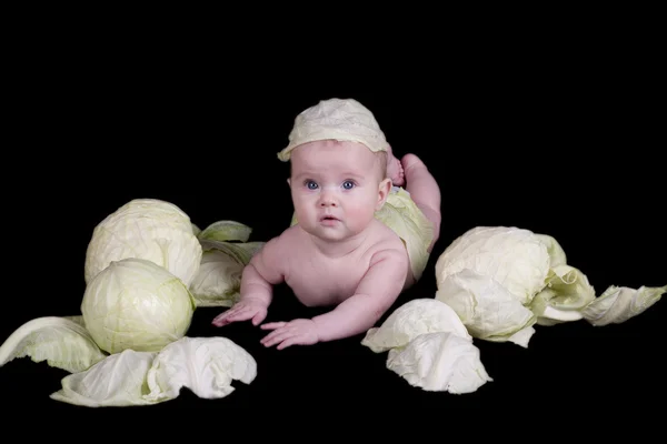 Siyah zemin lahana bebek — Stok fotoğraf