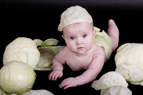 The baby in the cabbage on a black background — Stock Photo, Image