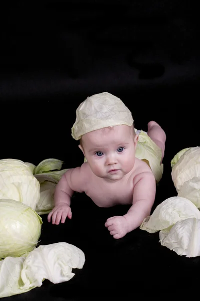 El bebé en la col sobre un fondo negro —  Fotos de Stock