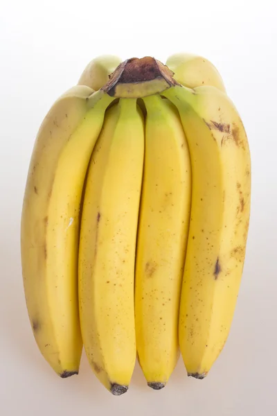 Racimo de plátanos sobre fondo blanco —  Fotos de Stock