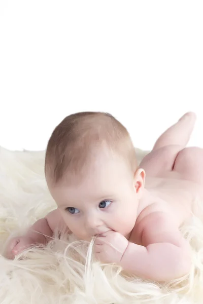 El bebé yace en la piel de las cabras —  Fotos de Stock
