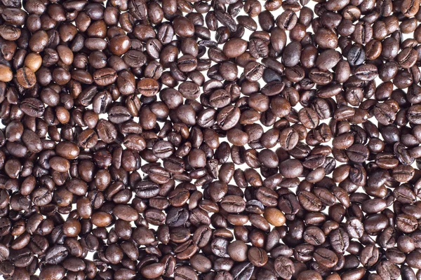 The texture of the bean — Stock Photo, Image