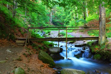 Bridge across the river clipart