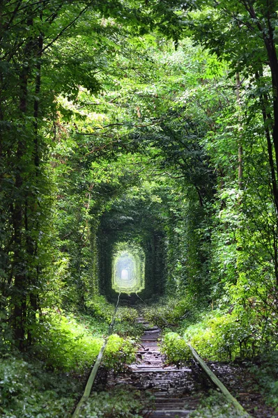 Tunnel der Liebe — Stockfoto