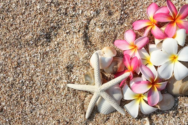Estrella de mar y flor de leelawadee en la arena —  Fotos de Stock