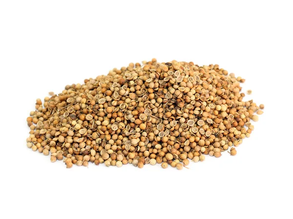 Много семян кориандра — стоковое фото