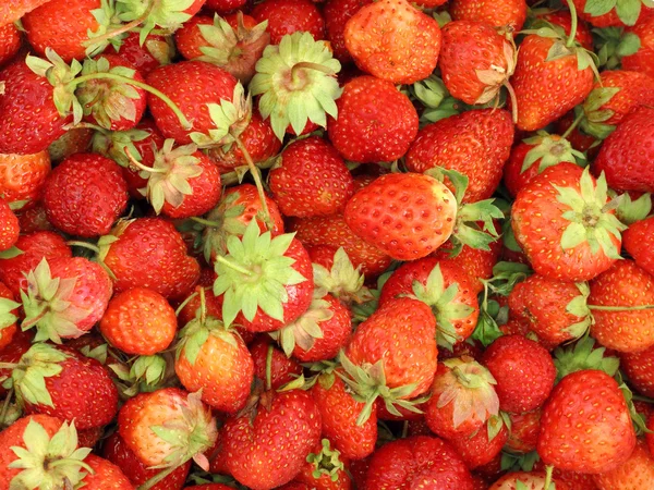 新鲜草莓的背景 — 图库照片